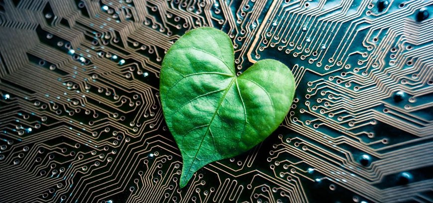 GREENING THE INTERNET OF THINGS